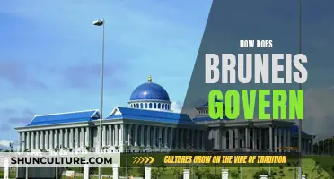 Brunei's Governance: A Comprehensive Overview