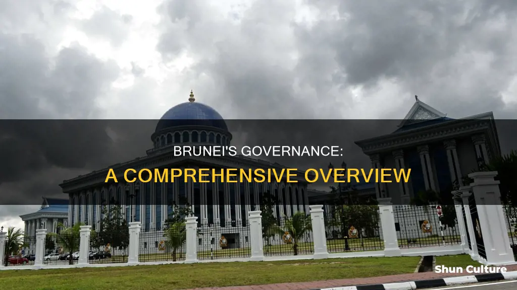 how does bruneis govern