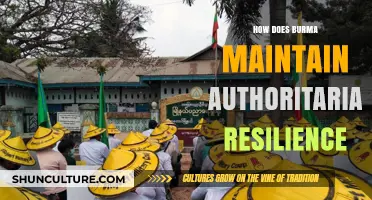 Burma's Authoritarian Resilience: A Study in Political Persistence