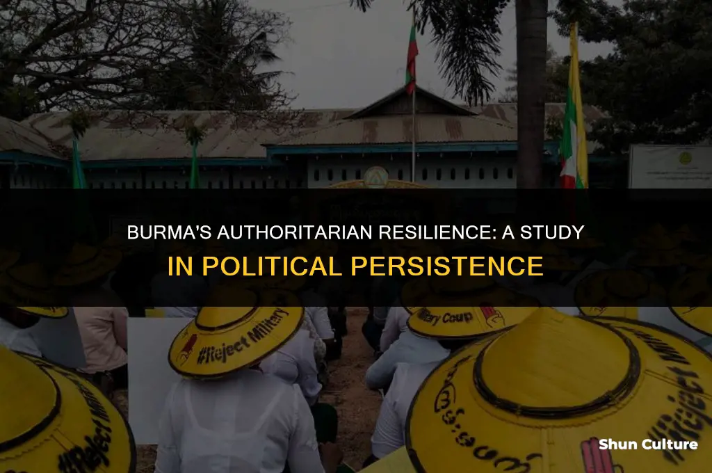 how does burma maintain authoritarian resilience