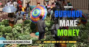 Exploring Burundi's Economic Engine: A Deep Dive into Its Revenue Streams