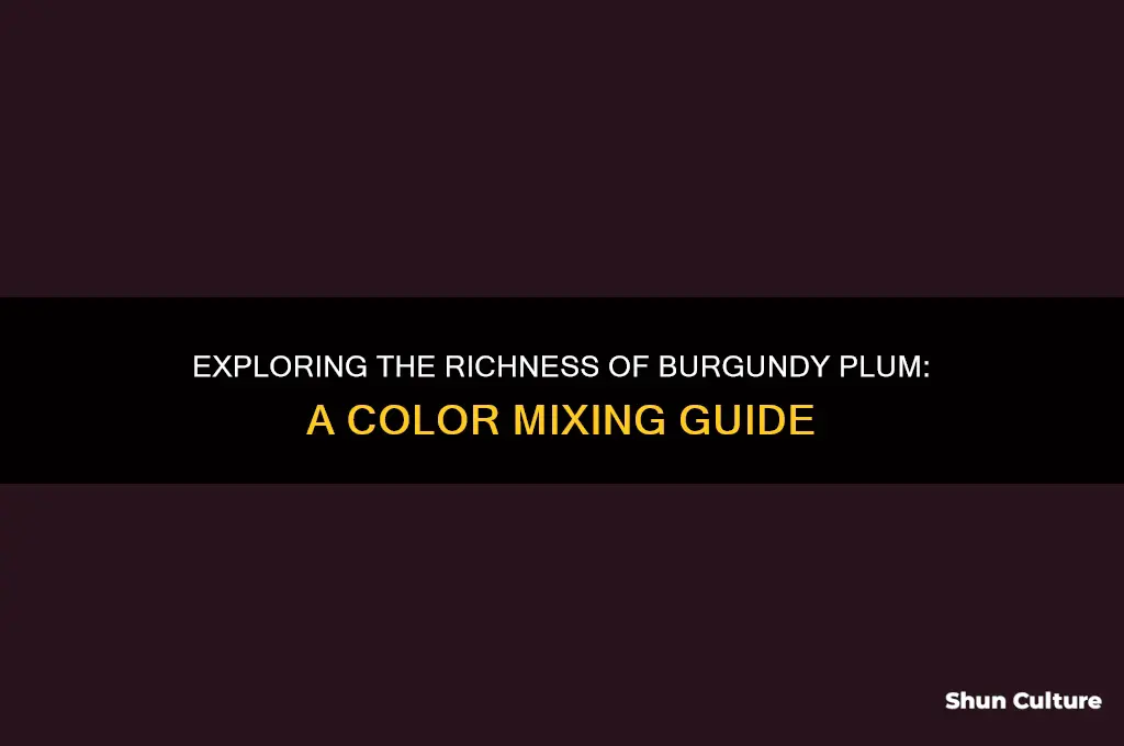 how does burundy plum color mix look like