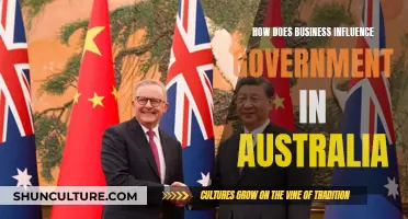 Business-Government Dynamics: Australia's Power Play