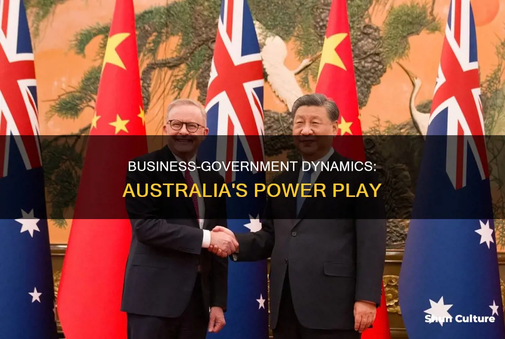 how does business influence government in australia