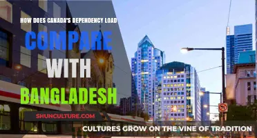 Canada vs. Bangladesh: Dependency Load Comparison and Economic Insights
