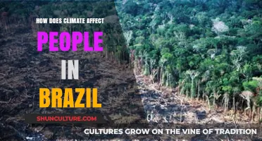 Brazil's Climate Impact: How Weather Shapes Lives and Livelihoods