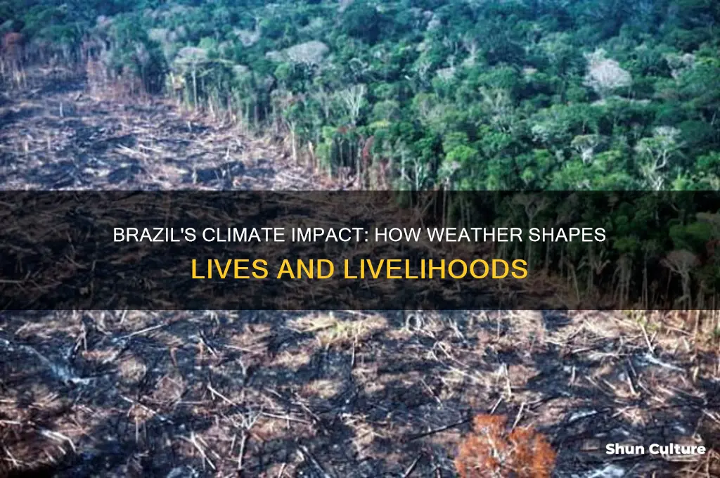 how does climate affect people in brazil