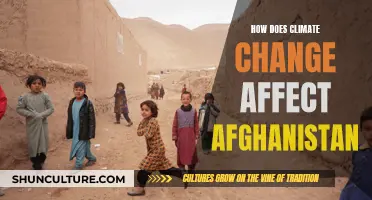 The War-Torn Country's Climate Crisis: Afghanistan's Battle Beyond Conflict