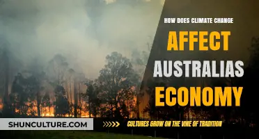 Climate Change: Australia's Economy at Risk