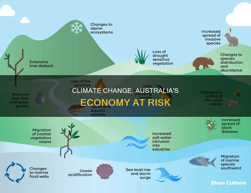 how does climate change affect australias economy