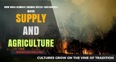 Climate Change: Australia's Water and Agriculture Crisis