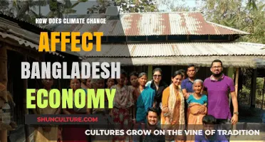 Climate Change's Economic Impact on Bangladesh: Challenges and Resilience