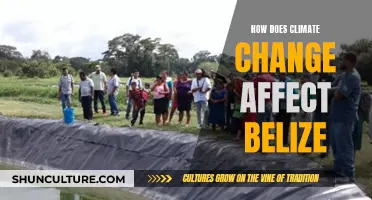 The Impact of Climate Change on Belize: A Small Country's Big Challenges