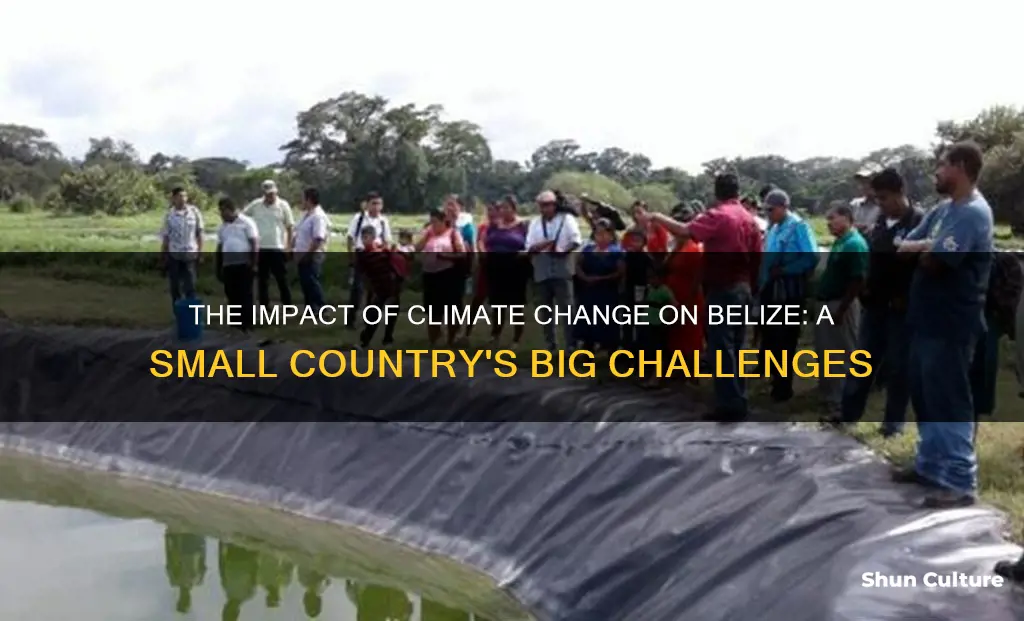 how does climate change affect belize