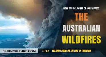 The Impact of Climate Change on Australian Wildfires