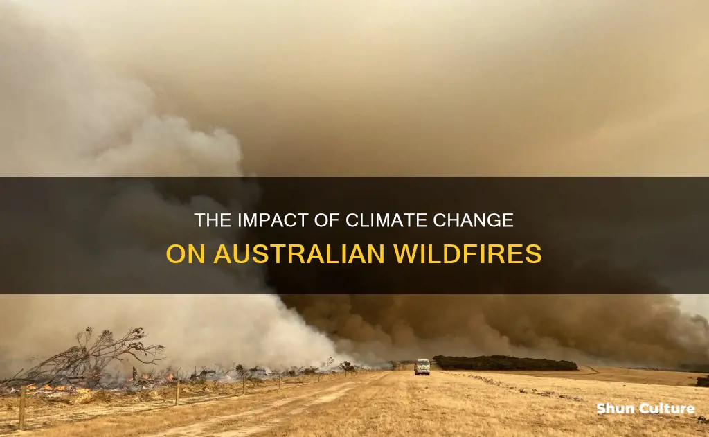 how does climate change affect the australian wildfires