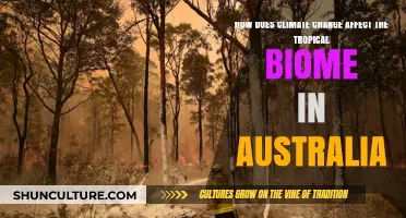 Climate Change Impacts: Australia's Tropical Biome