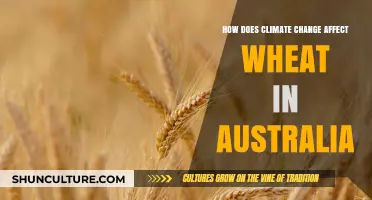 Climate Change: Impact on Australia's Wheat