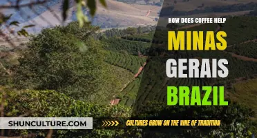 Coffee's Role in Boosting Minas Gerais, Brazil's Economy and Culture