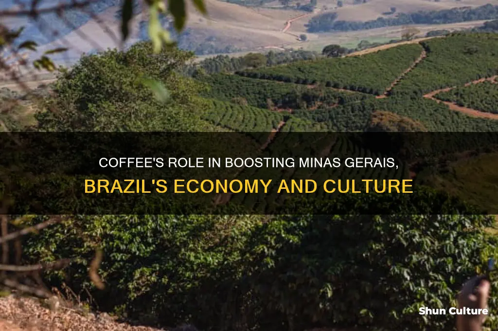 how does coffee help minas gerais brazil
