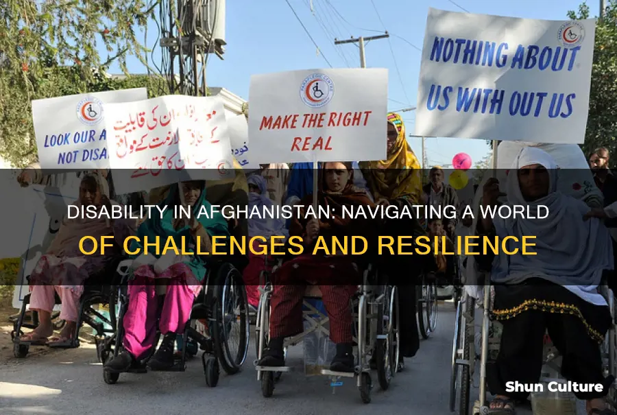 how does disability treated in afghanistan