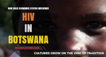 Economic Inequality and HIV: Botswana's Complex Health Challenge