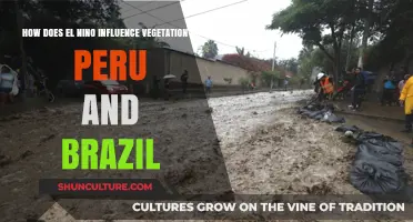 El Niño's Impact on Peru and Brazil's Vegetation Patterns