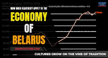 Belarus' Economy: Elasticity's Impact and Applications