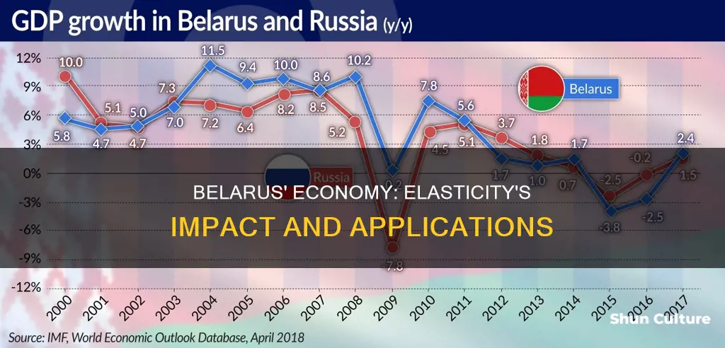 how does elasticity apply to the economy of belarus