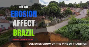 Erosion's Impact on Brazil: Challenges, Consequences, and Conservation Efforts