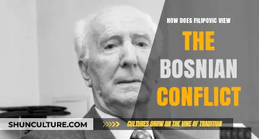 Filipovic's Perspective on the Bosnian Conflict: A Critical Analysis