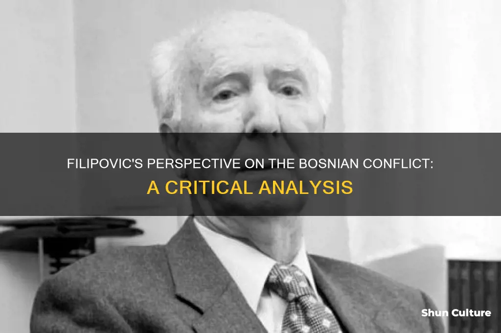 how does filipovic view the bosnian conflict