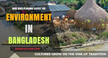 Flooding's Devastating Impact on Bangladesh's Environment and Ecosystems