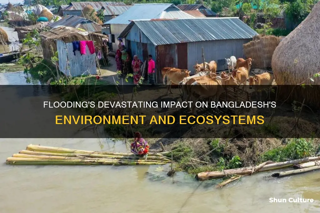how does flooding affect the environment in bangladesh