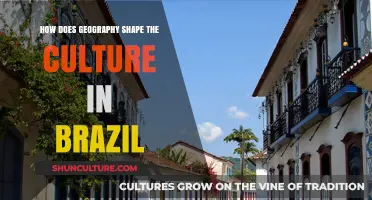 Brazil's Cultural Mosaic: Geography's Role in Shaping Traditions and Identity