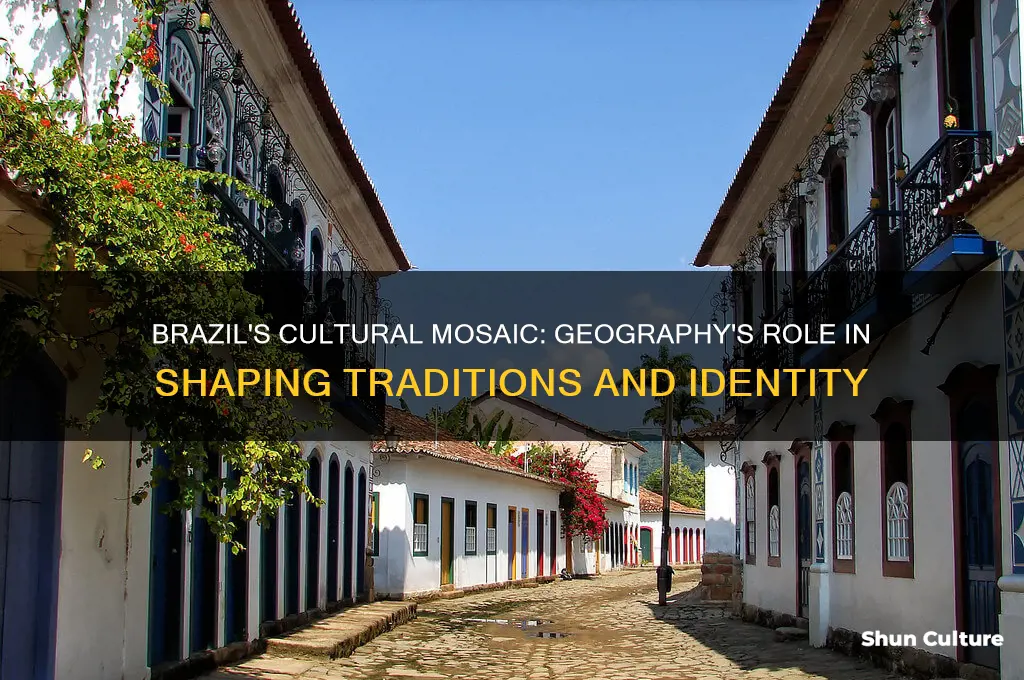 how does geography shape the culture in brazil