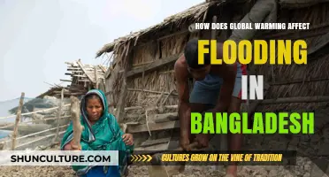 Global Warming's Impact on Bangladesh's Flooding Crisis Explained