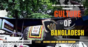 Globalization's Influence on Bangladesh's Traditional Culture: Challenges and Adaptations