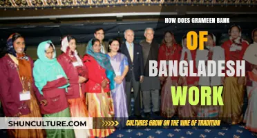 Understanding Grameen Bank: Bangladesh's Microfinance Model and Operations