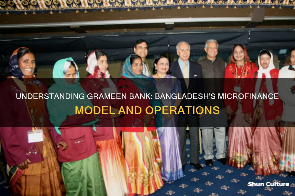 how does grameen bank of bangladesh work