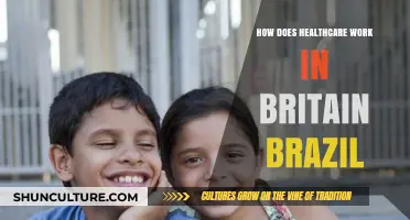 Healthcare Systems Compared: Britain vs. Brazil - Key Differences Explained