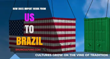Understanding US to Brazil Import Process: A Comprehensive Guide