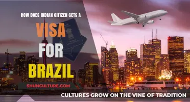 Indian Citizens' Guide to Obtaining a Brazilian Visa: Steps and Tips