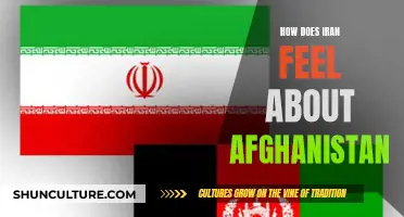 The Iran-Afghanistan Dynamic: A Complex Relationship