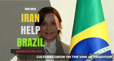 Iran-Brazil Relations: Economic, Cultural, and Strategic Partnerships Explained