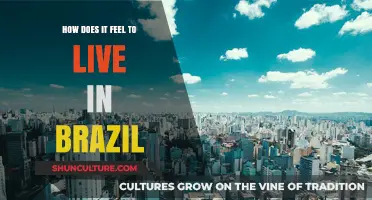 Experiencing Brazil: Culture, Vibes, and Daily Life in a Vibrant Nation