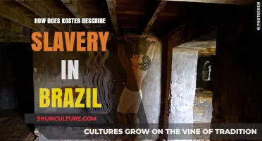 Koster's Depiction of Brazilian Slavery: A Historical Perspective