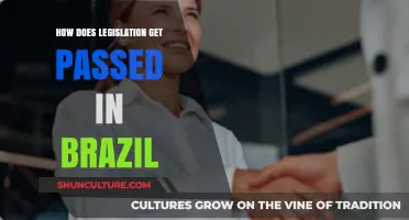 Understanding Brazil's Legislative Process: How Laws Are Passed and Enacted
