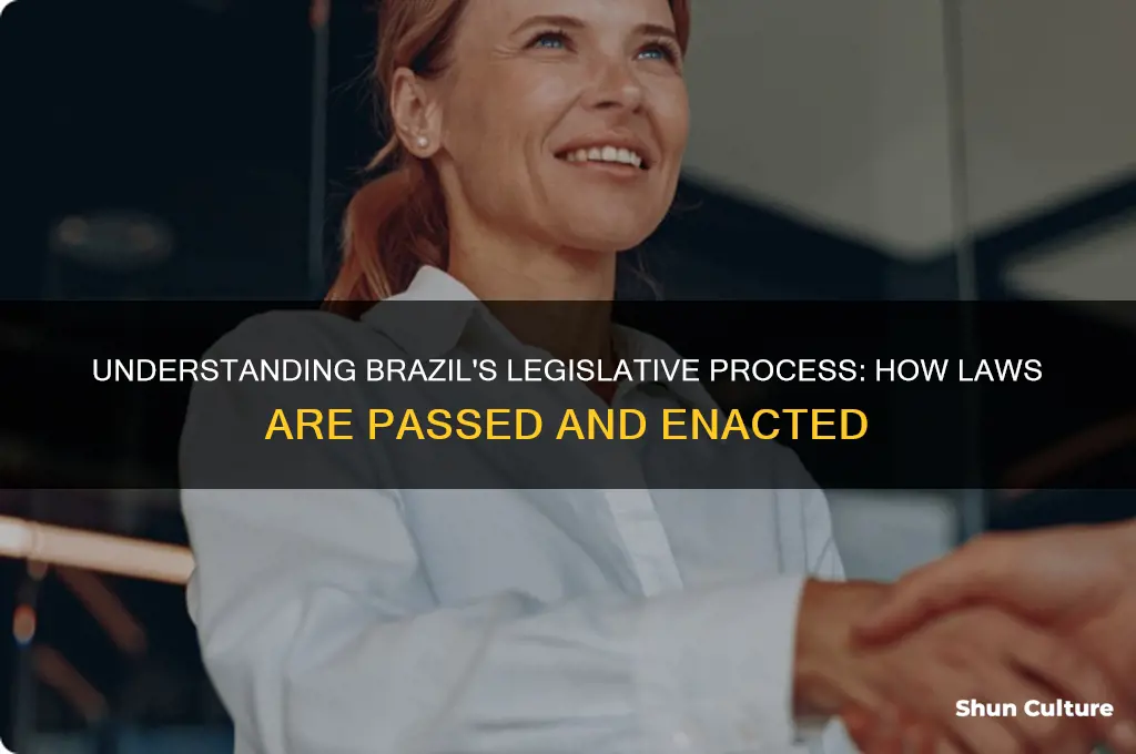 how does legislation get passed in brazil