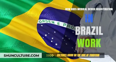 Navigating Brazil's Medical Device Registration Process: A Comprehensive Guide